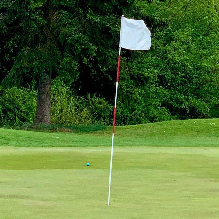 Golfplatz Vögl BMW Golf Cup