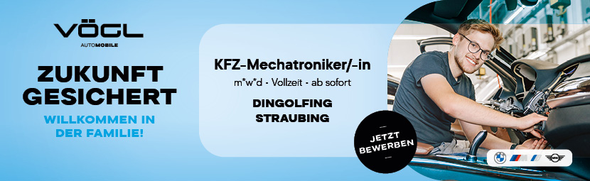 KFZ-Mechatroniker/-in (m/w/d)